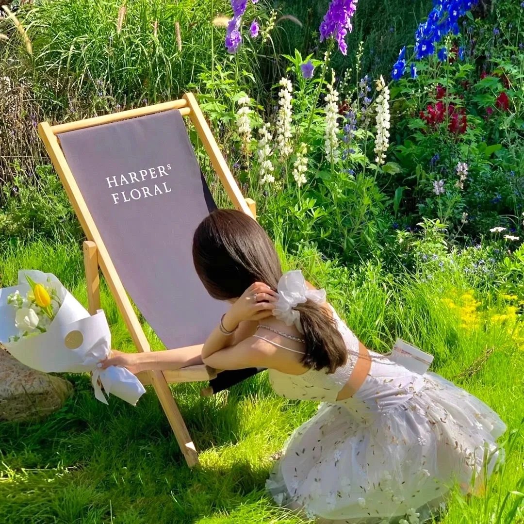 MOMENTARY LILY 刹那之花